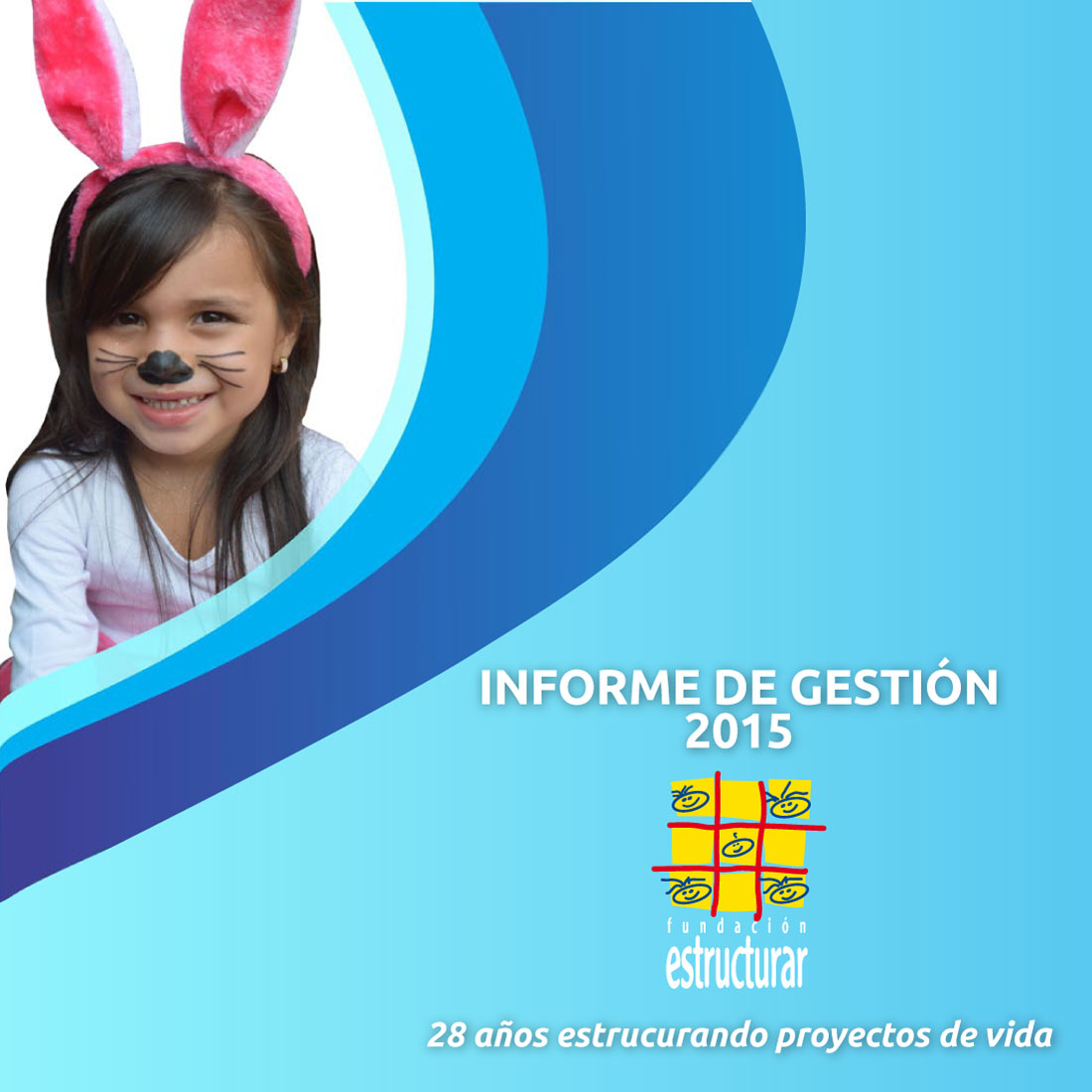 Informe de Gesti&oacute;n 2015